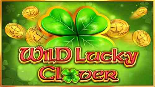 Wild Lucky Clover