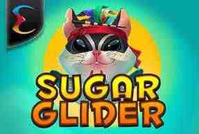 Sugar Glider