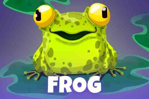 Froggy