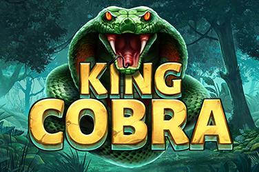 King Cobra