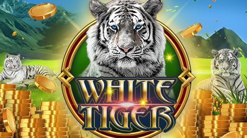 White Tiger