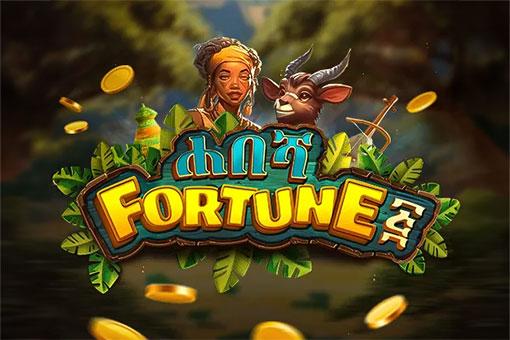 Habesha Fortune 5