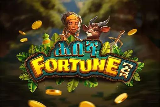 Habesha Fortune 5