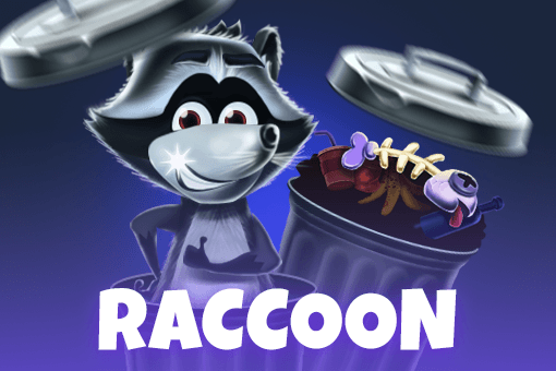Raccoon